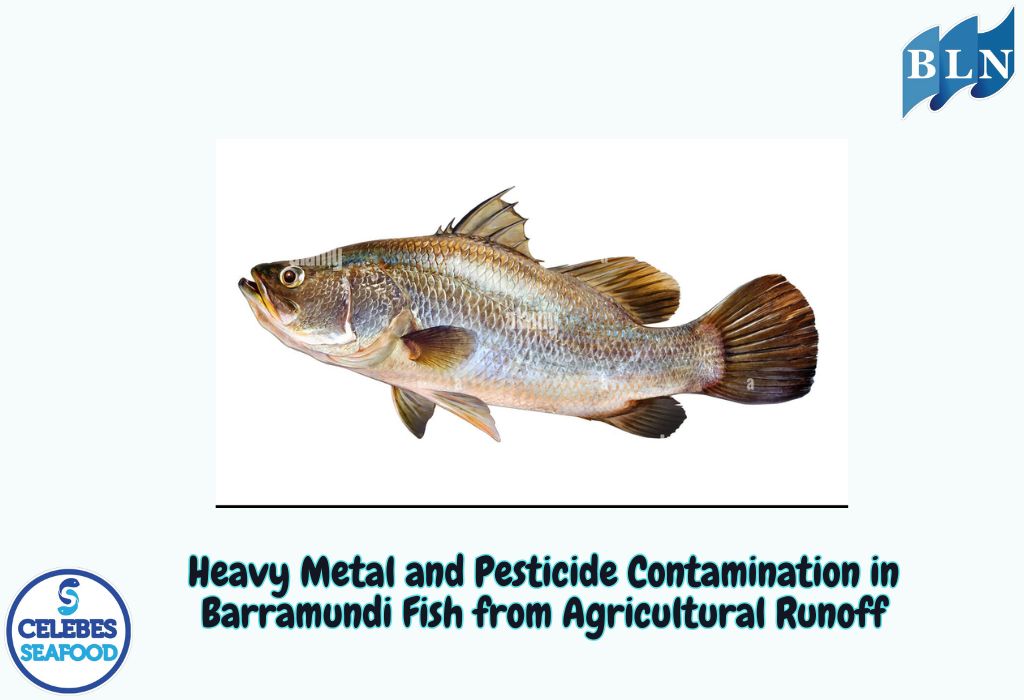 Heavy Metal and Pesticide Contamination in Barramundi Fish from Agricultural Runoff